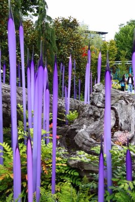 The Glass Art of Dale Chihuly