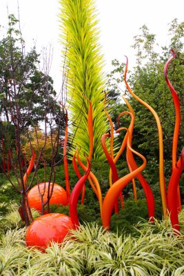 The Glass Art of Dale Chihuly