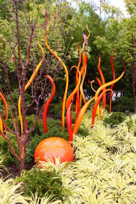 The Glass Art of Dale Chihuly