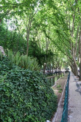 A Stroll Along the Avenida de Liberdade