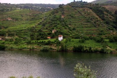 Views of the Douro Valley en Route to Pinhao