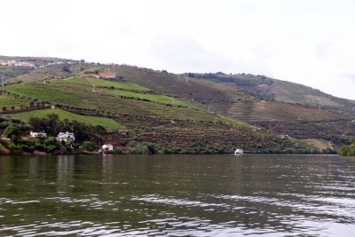 We Travel Downstream on the Douro by Rabelo to Quinta do Crasto with a Port Tasting en route