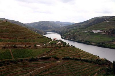 We Travel Downstream on the Douro by Rabelo to Quinta do Crasto with a Port Tasting en route