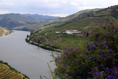 A Visit to Quinta do Crasto Complete with Tasting, Tapas and Outdoor Lunch