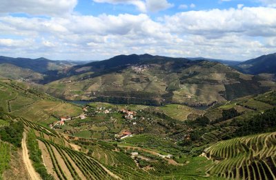 A Visit to Quinta do Crasto Complete with Tasting, Tapas and Outdoor Lunch