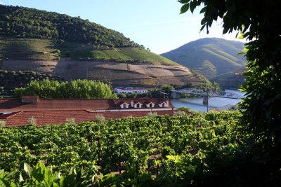 A Visit to Quinta do Bomfin