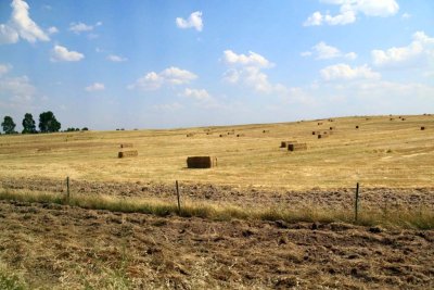 The Country Side Near Evora