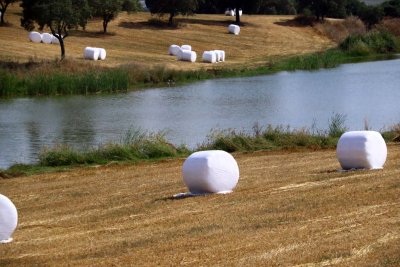 The Country Side Near Evora