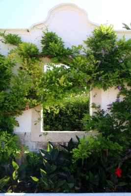 A Tasting at Quinta do Carmo - Dona Maria