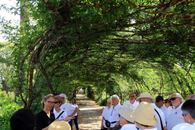 A Tasting at Quinta do Carmo - Dona Maria