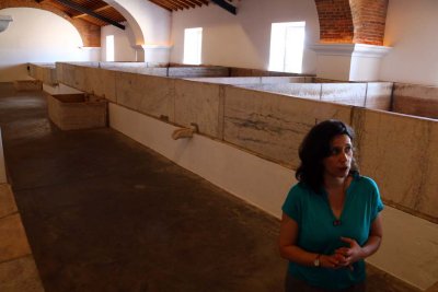 A Tasting at Quinta do Carmo - Dona Maria