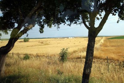 The Country Leading to Herdade do Esporao