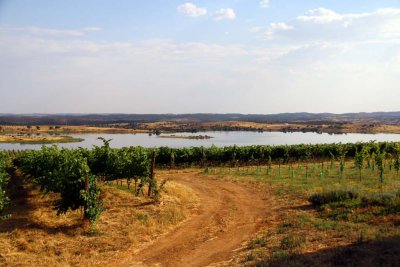 Reservoir Built to Ensure Irrigation