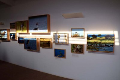Photo Galley of Quinta Wildlife