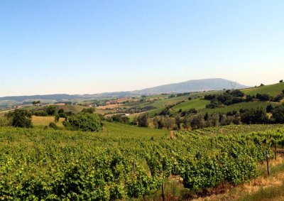 En Route  to Quinta de Chocapalha