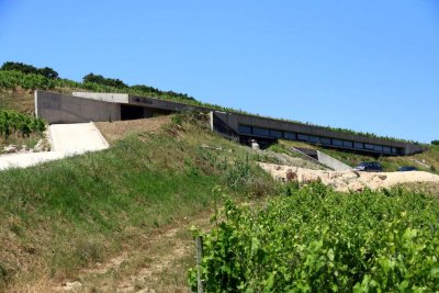 The Winery