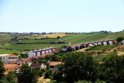Near Quinta de Chocahalpa