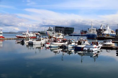 Reykjavik harbor