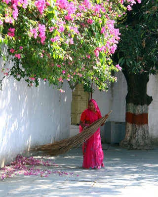 THE GARDENS OF SAHELON KI BARI