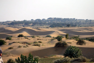 CAMEL RIDE IN THE THAR DESERT