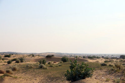 CAMEL RIDE IN THE THAR DESERT