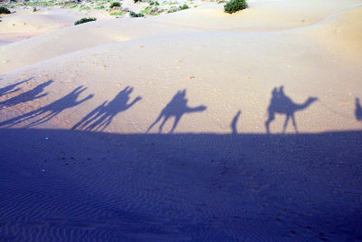 CAMEL RIDE IN THE THAR DESERT