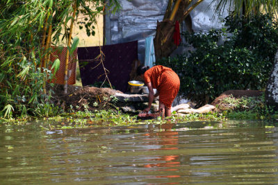 THE BACKWATERS - A WORLD OF COLOR AND ENTERPRISE