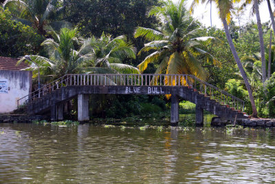 THE BACKWATERS - A WORLD OF COLOR AND ENTERPRISE
