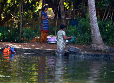 THE BACKWATERS - A WORLD OF COLOR AND ENTERPRISE
