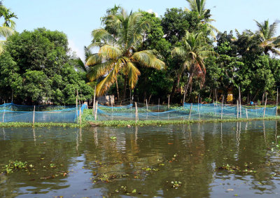 THE BACKWATERS - A WORLD OF COLOR AND ENTERPRISE