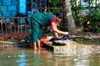 THE BACKWATERS - A WORLD OF COLOR AND ENTERPRISE