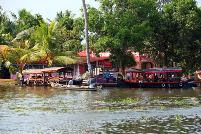 THE BACKWATERS - A WORLD OF COLOR AND ENTERPRISE