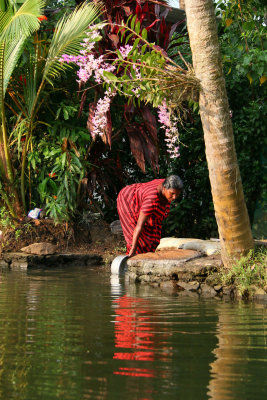 THE BACKWATERS - A WORLD OF COLOR AND ENTERPRISE