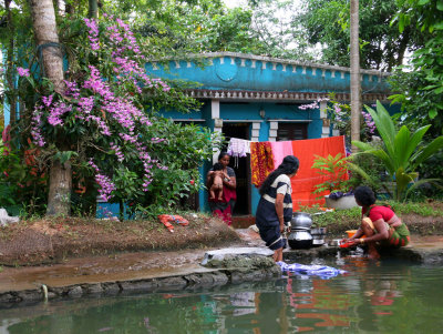 THE BACKWATERS - A WORLD OF COLOR AND ENTERPRISE