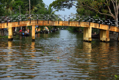 THE BACKWATERS - A WORLD OF COLOR AND ENTERPRISE