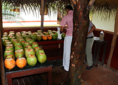 WELCOME TO THE MARAI BEACH RESORT