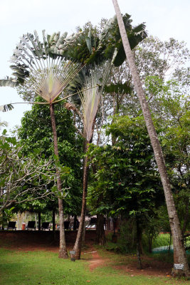 THE BEAUTIFUL GROUNDS OF THE MARAI BEACH RESORT