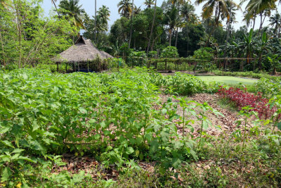 THE BEAUTIFUL GROUNDS OF THE MARAI BEACH RESORT