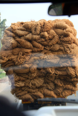 HEMP GOING TO MARKET