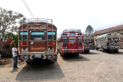 CHICKEN BUSSES