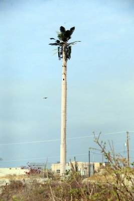 PRETTY CREATIVE CELL TOWER