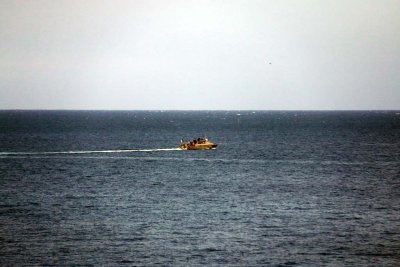 IMG_1943.jpg
