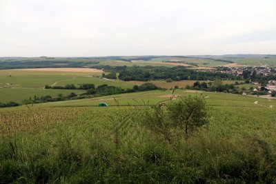 g9/68/971468/3/163738897.mT6UdSdi.jpg