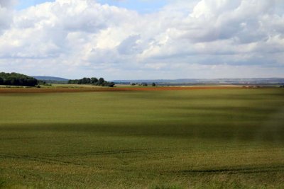 Le Grand Cru 2016  Burgundy