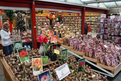 SCENES FROM THE FLOATING BULB MARKET