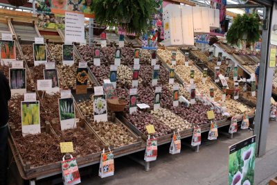 SCENES FROM THE FLOATING BULB MARKET