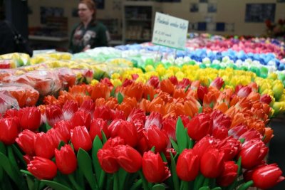 SCENES FROM THE FLOATING BULB MARKET