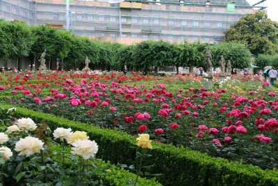 NEW RESIDENZ ROSE GARDEN