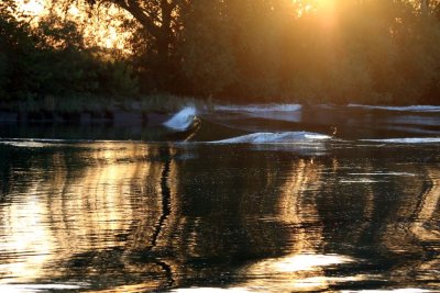 RIVER BOTTOM GENERATES WAKE SURF