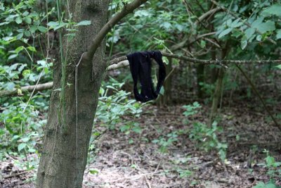 SOMEONE WAS IN A HURRY - THONG UNDERWEAR IN THE WOODS